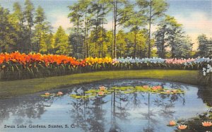 Swan Lake Gardens Sumter, South Carolina  