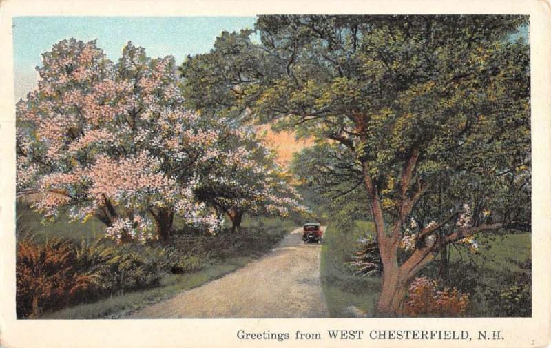 West Chesterfield New Hampshire Scenic Roadway Greeting Antique Postcard K93067