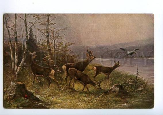 132433 HUNT Family DEER Mushrooms by MULLER Vintage PC