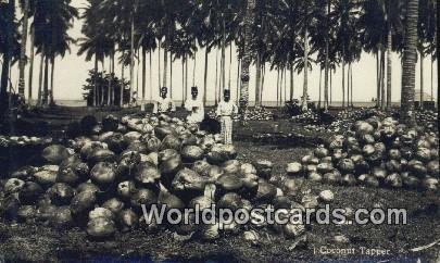 Real Photo Coconut Tapper Malaya, Malaysia Writing On Back 