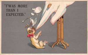 Greetings Dog More than I expected Pulling Tablecloth Humor Postcard AA75723