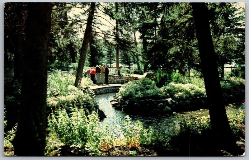 Vtg Clear Lake Manitoba Canada Wishing Well Riding Mountain Postcard