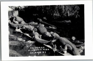 RPPC Gators Sunning, California Alligator Farm Los Angeles Vintage Postcard X04
