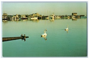 c1950's Bien Venue The Far-Away Island Nantucket Massachusetts MA Postcard