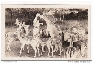 New York Catskill Feeding Deer At Catskill Game Farm Photo