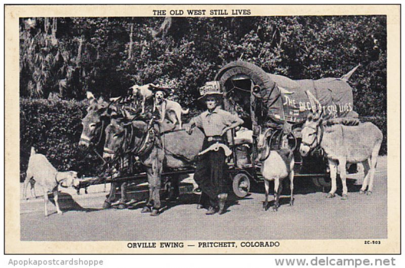 The Old West Still Lives Orville Ewing Pritchett Colorado
