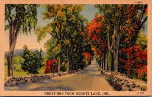 Indiana Greetings From Koontz Lake Curteich