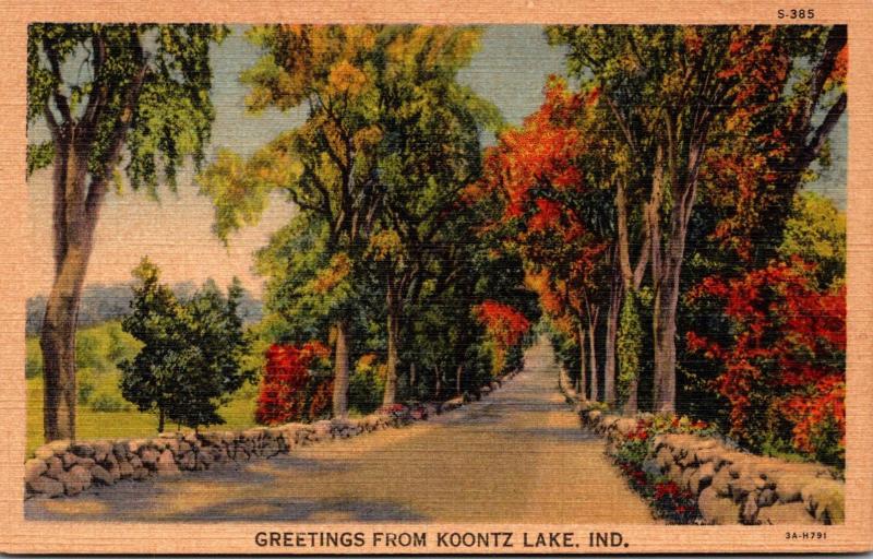 Indiana Greetings From Koontz Lake Curteich