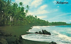 Hawaii Kalapana Chrome Postcard 08.41