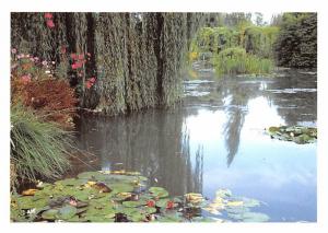 Jardin de Monet - Claude Monet