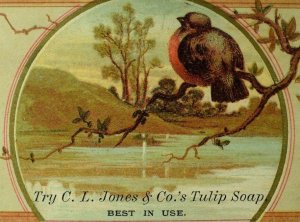 1870's-80's Lovely Bird Stream Tree, C.L. Jones & co., Tulip Soap Trade Card F90