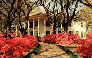 Alabama Mobile Mitchell Home On Springhill Avenue 1959