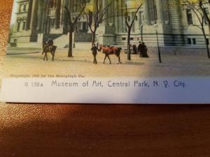 Antique Museum of Art, Central Park, NY Circa 1905 - Rotograph Company