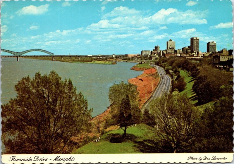 VINTAGE CONTINENTAL SIZE POSTCARD BEAUTIFUL RIVERSIDE DRIVE MEMPHIS