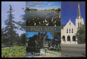 Palo Alto