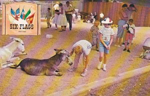 Texas Dallas-Fort Worth Six Flags Over Texas Animal Kingdom