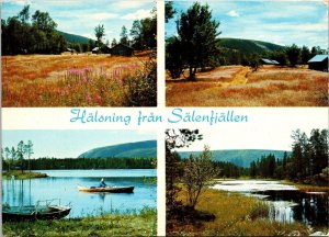 Bilderna Halsning Fran Salenfiallen Multi View Landscape Chrome Postcard WOB  