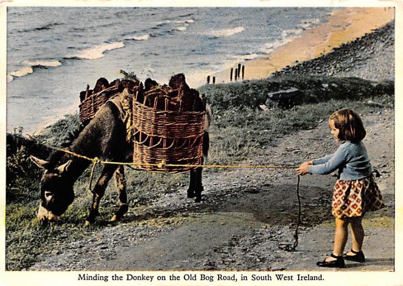 South West Ireland Minding the Donkey on the Old Bog Road South West Minding ...