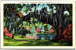 Middleton Gardens Charleston SC Spanish Moss Lake Vintage Postcard H16