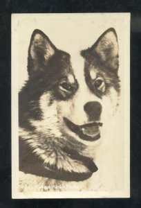 RPPC ALASKA HUSKY DOG HUSKIES VINTAGE REAL PHOTO POSTCARD