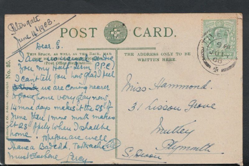 Family History Postcard - Hammond - 31 Lisson Grove, Mutley, Plymouth RF1752