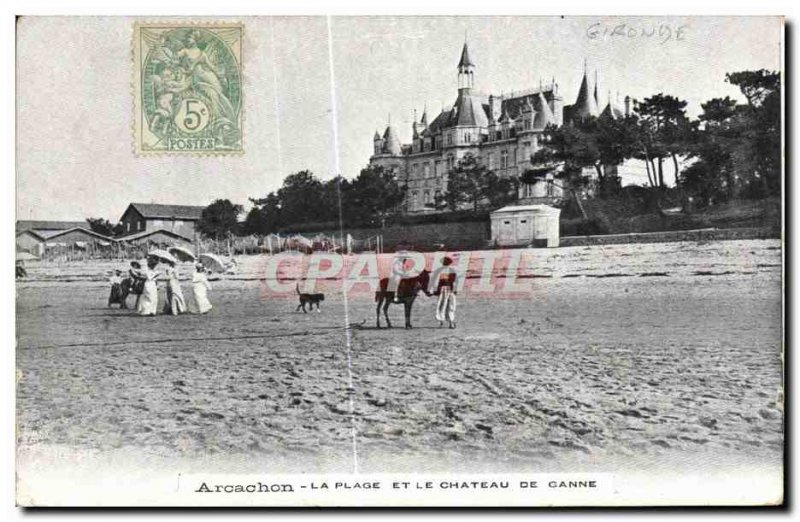 Old Postcard Arcachon The Beach and the Castle Ganne Donkey Mule