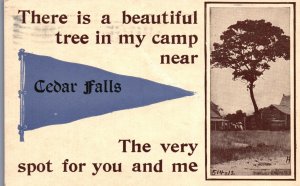 Vintage Postcard 1913 View of Cedar Water Falls  Beautiful Tree in my Camp Spot