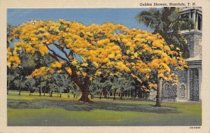 Golden Shower Honolulu, Hawaii, USA