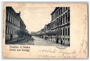 1922 Greetings from Osieka Essegg Jager's Street Croatia Posted Postcard