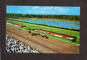 FL Horse Racing, Racetrack, Hialeah Race Track, Miami Florida Postcard Linen