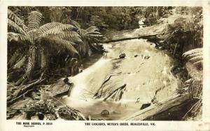 australia, HEALESVILLE, Victoria, The Cascades, Meyer's Creek (1930s) RPPC