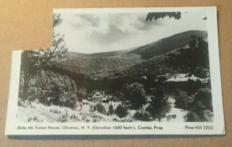 VINTAGE USED 1954 REAL PHOTO POSTCARD MT. FOREST HOUSE, OLIVEREA, NEW YORK 