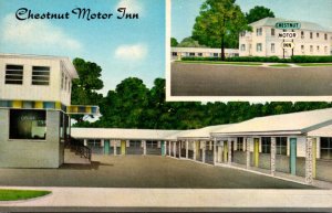 Indiana Seymour Chestnut Motor Inn