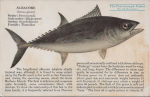 Advertising Postcard Mead Johnson Co Albacore Fish Percomorph Fishes