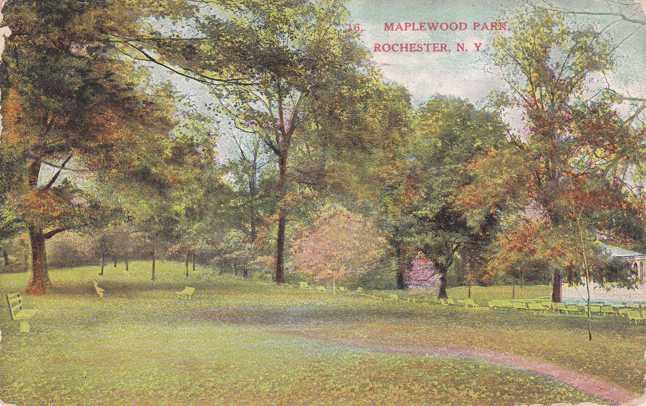 View in Maplewood Park, Rochester, New York - pm 1909 - DB