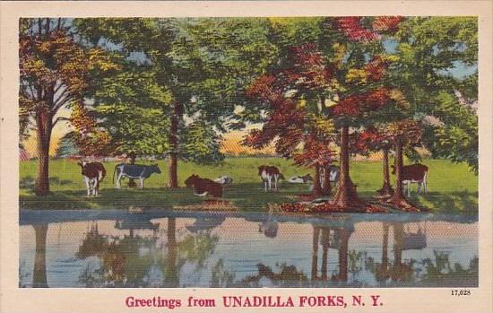 New York Unadilla Forks Greetings From Unadilloa Forks