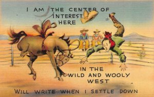 Comic  WILD & WOOLY WEST  Cowboy & Bucking Horse  ca1940's Linen Postcard