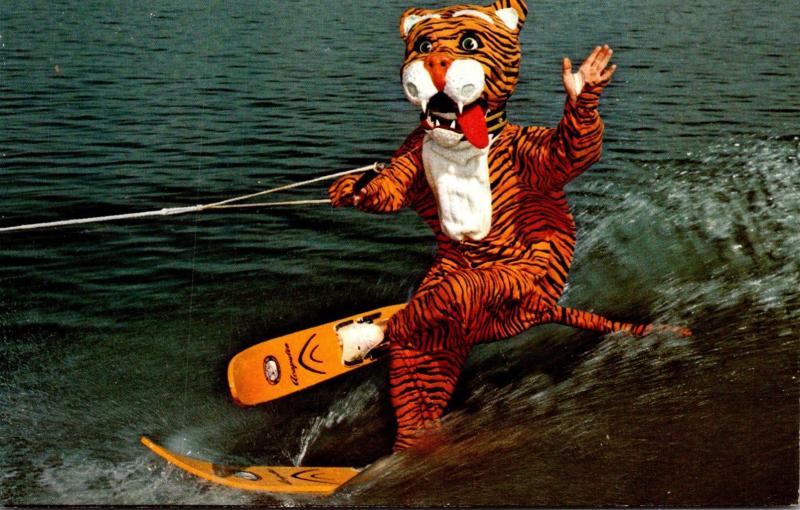 Florida Cypress Gardens Timmy The Tiger Water Skiing