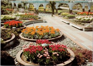 North Vancouver BC Park & Tilford Gardens Flowers Unused Postcard C7