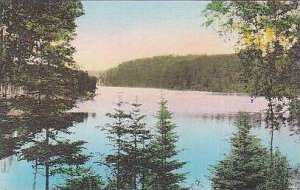 Minnesota Itasca State Park East Arm Lake Itasca Albertype