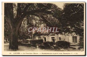 Old Postcard Loches Chateau Royal chestnut plant by Francois 1er