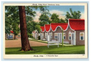 c1940s Beautiful Spot - Shady Lodge Motel, Oskaloosa Iowa IA Vintage Postcard