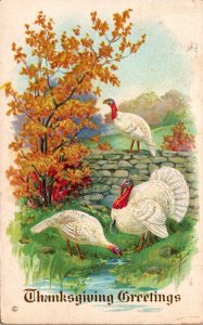 Thanksgiving With Turkeys 1913