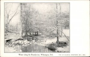 Wilmington Delaware Winter Along the Brandywine c1900-20s Vintage Postcard
