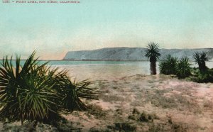 San Diego California Point Loma Sandy Beaches Edward H. Mitchel Vintage Postcard