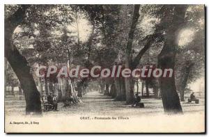 Postcard Old Gray Promenade des Tilleuls