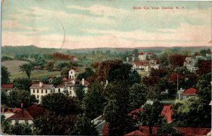 Postcard NY Castile Birds Eye View of Town Lithochrome C.1910 M25