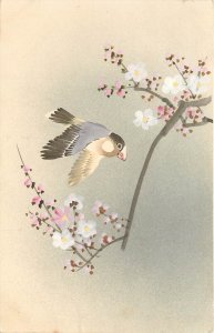 Japanese Hand-Painted Art Postcard; Bird Grosbeak Flies by Cherry Blossom Branch