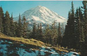 Washington Mount Rainier From Ipsut Pass