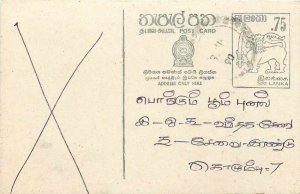 Entier Postal Stationery Postal Sri Lanka Ceylon Lion